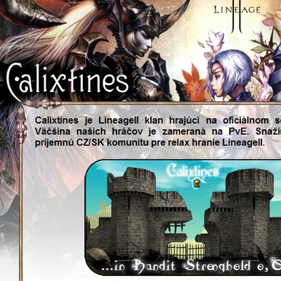 webdesign, implementation, 2008